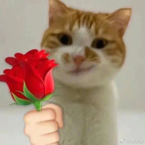 maeve ᓚᘏᗢ tweet media