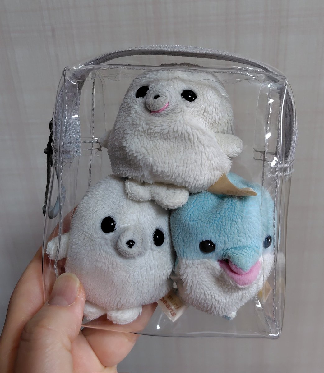 びえちゃん tweet media