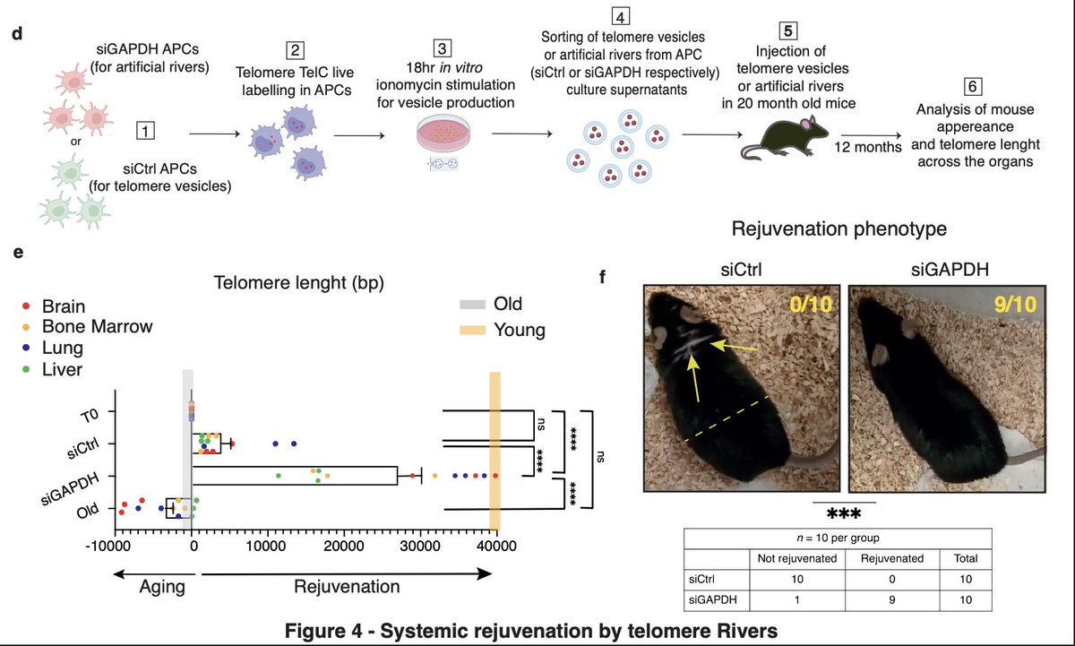 anabology tweet media