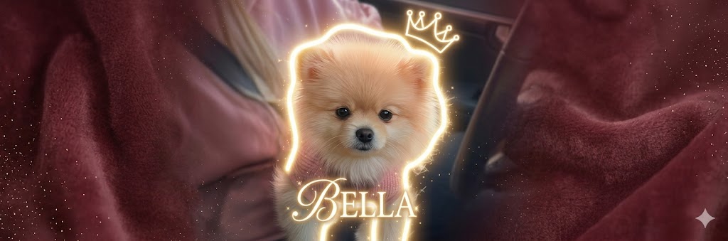 Flash.69 tweet media