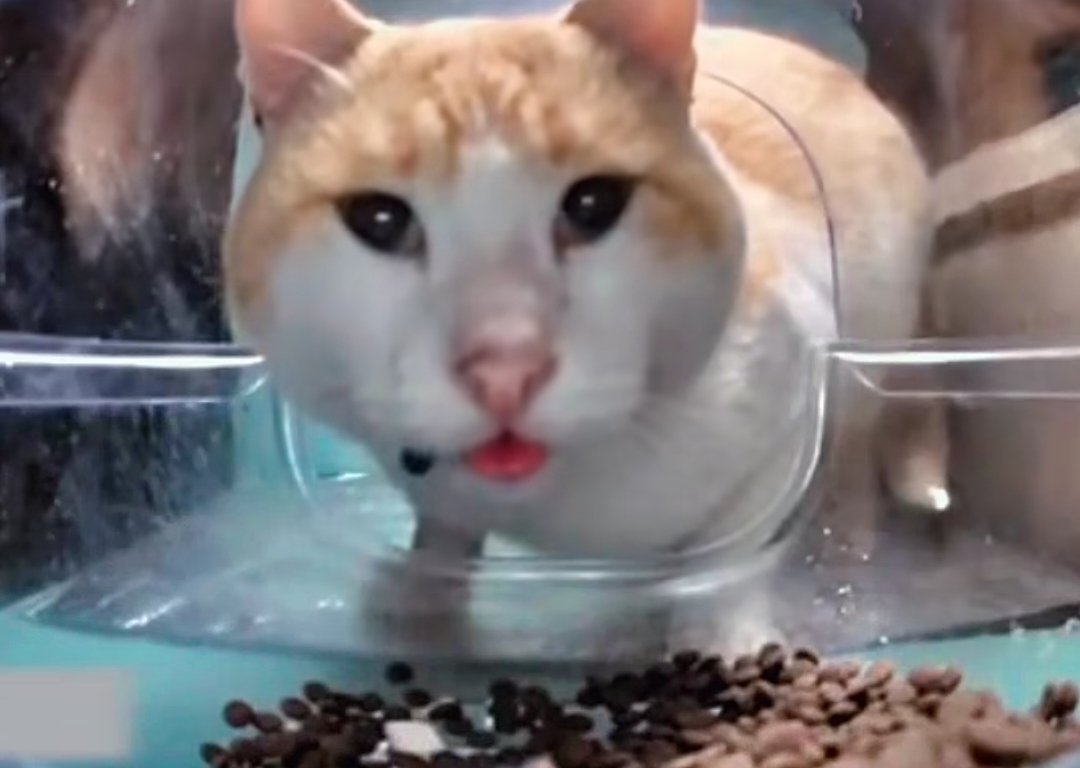 Invisible🩷 tweet media