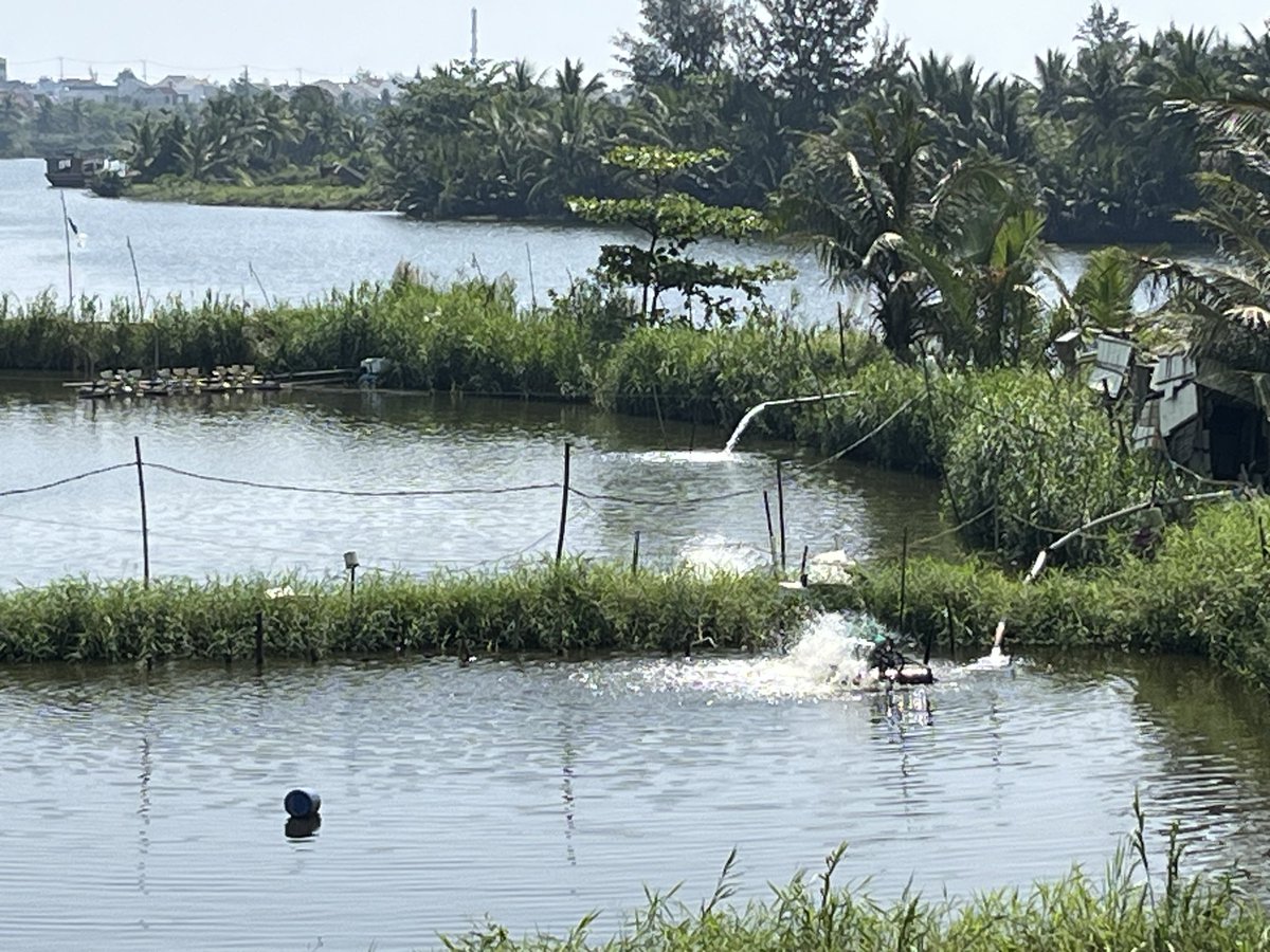 ❤️MouetteMoqueuse🇺🇦😜 tweet media