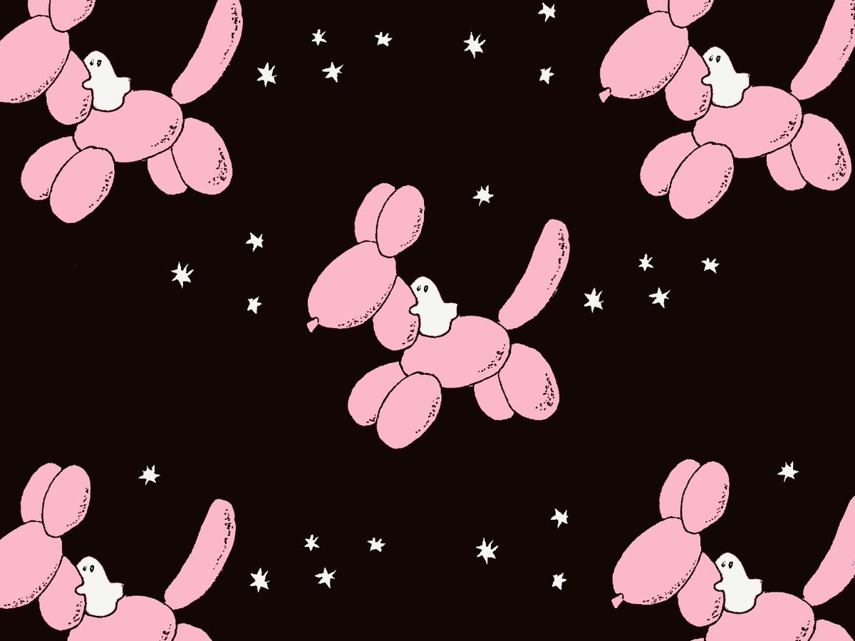 𝘀𝘂𝗶 tweet media