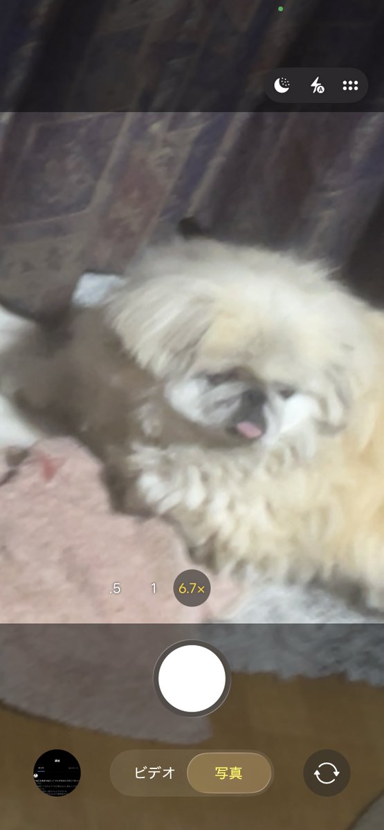 @Allexceed tweet media