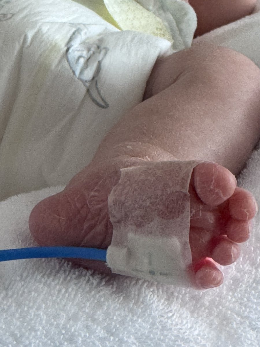 みか🌊🍃❤︎🏴‍☠️ tweet media