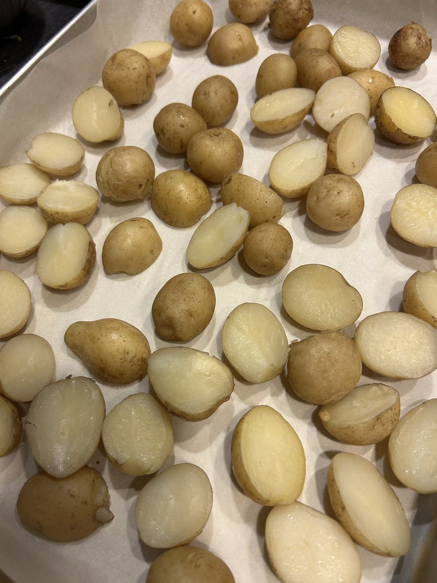 オールナイトニッぽにょ tweet media