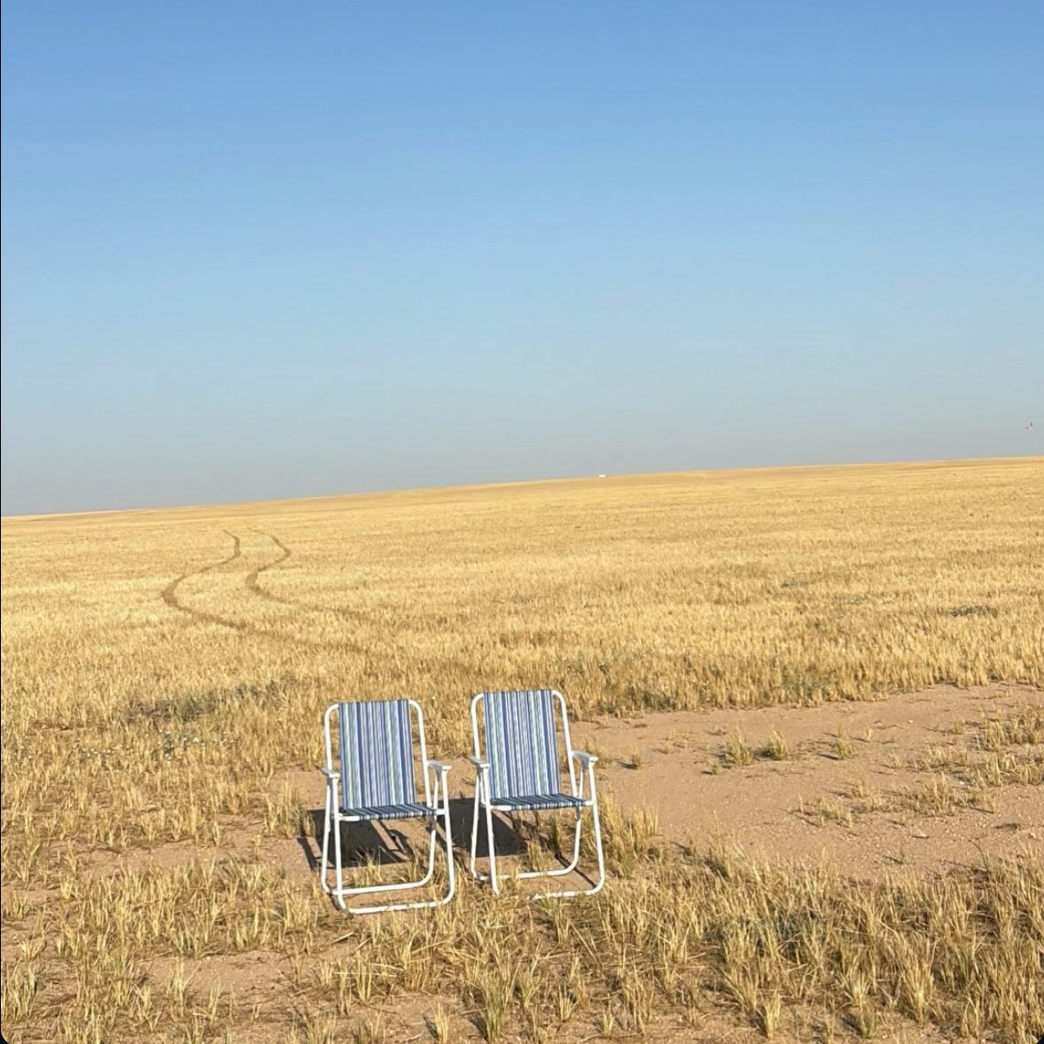 متديّن مديون tweet media