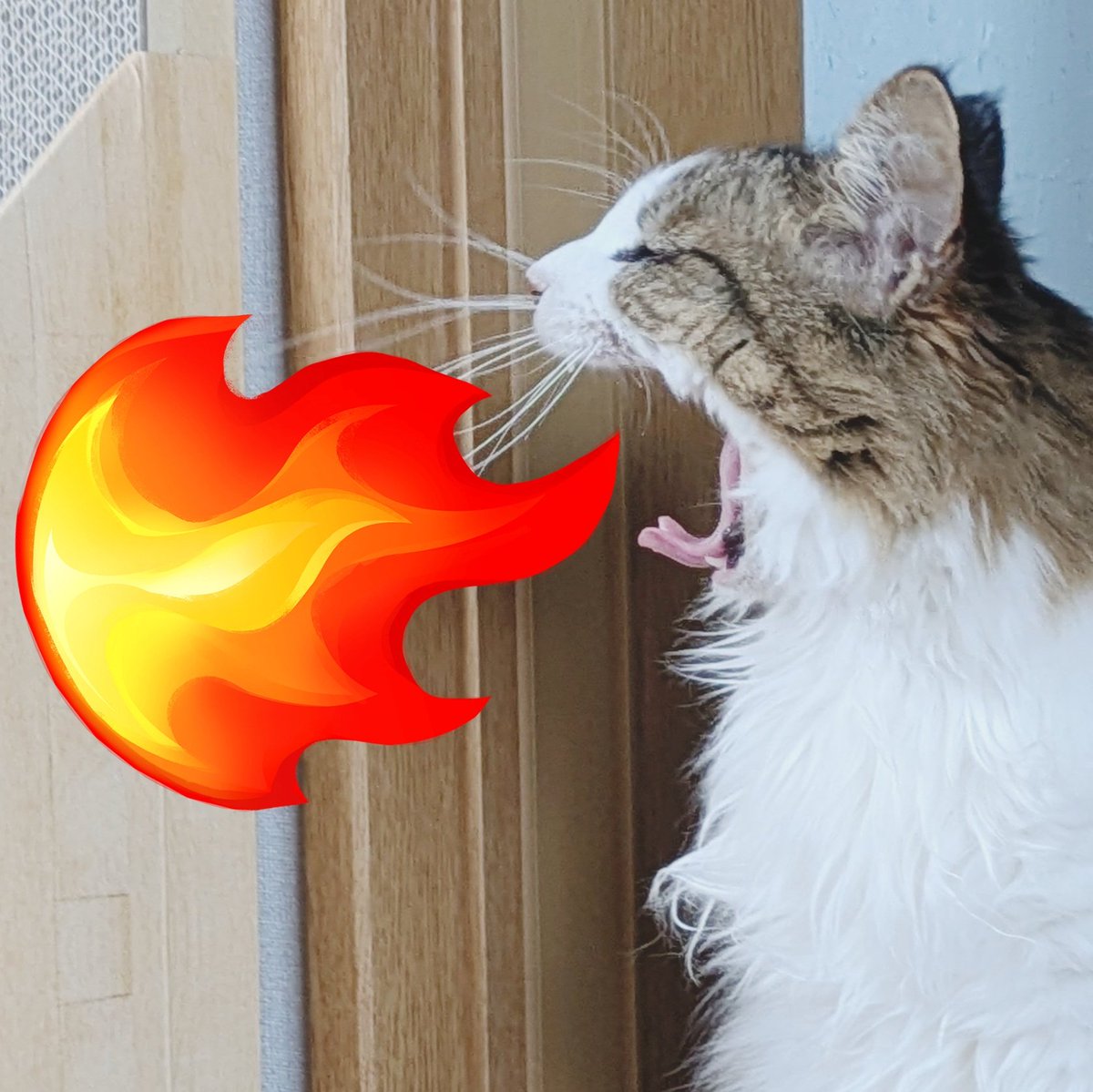 一郎号でござる tweet media