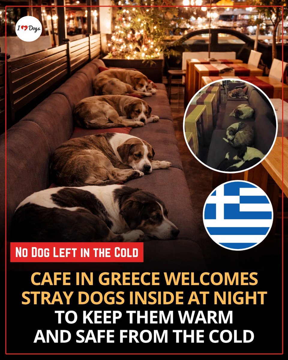 Doggy Mix tweet media