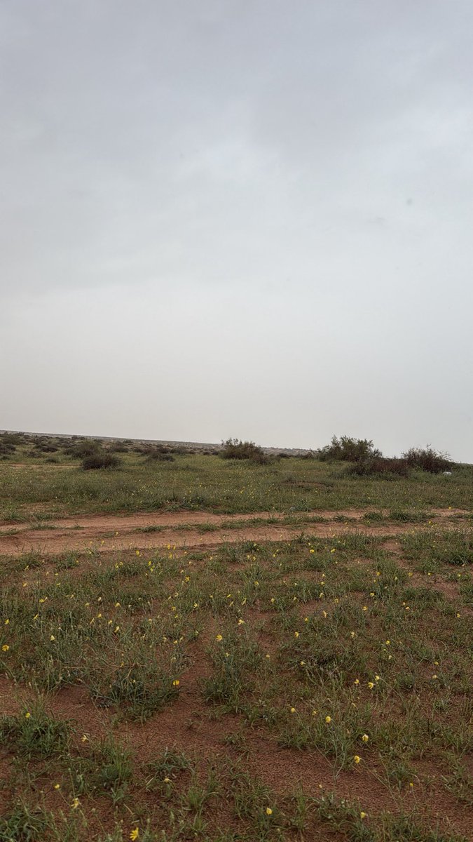 𝗛𝗼𝘀𝗮𝗺 tweet media