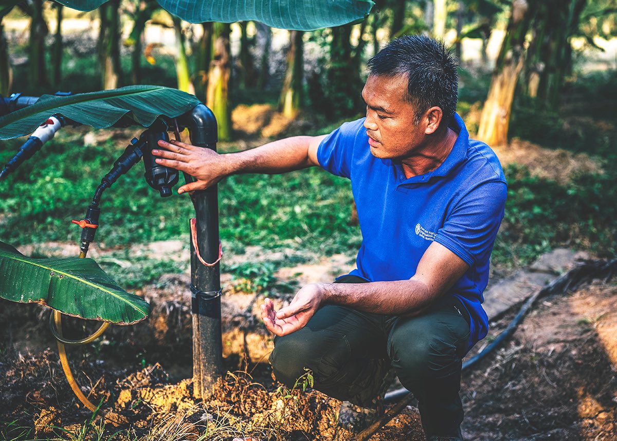 Son of the Morning Light tweet media