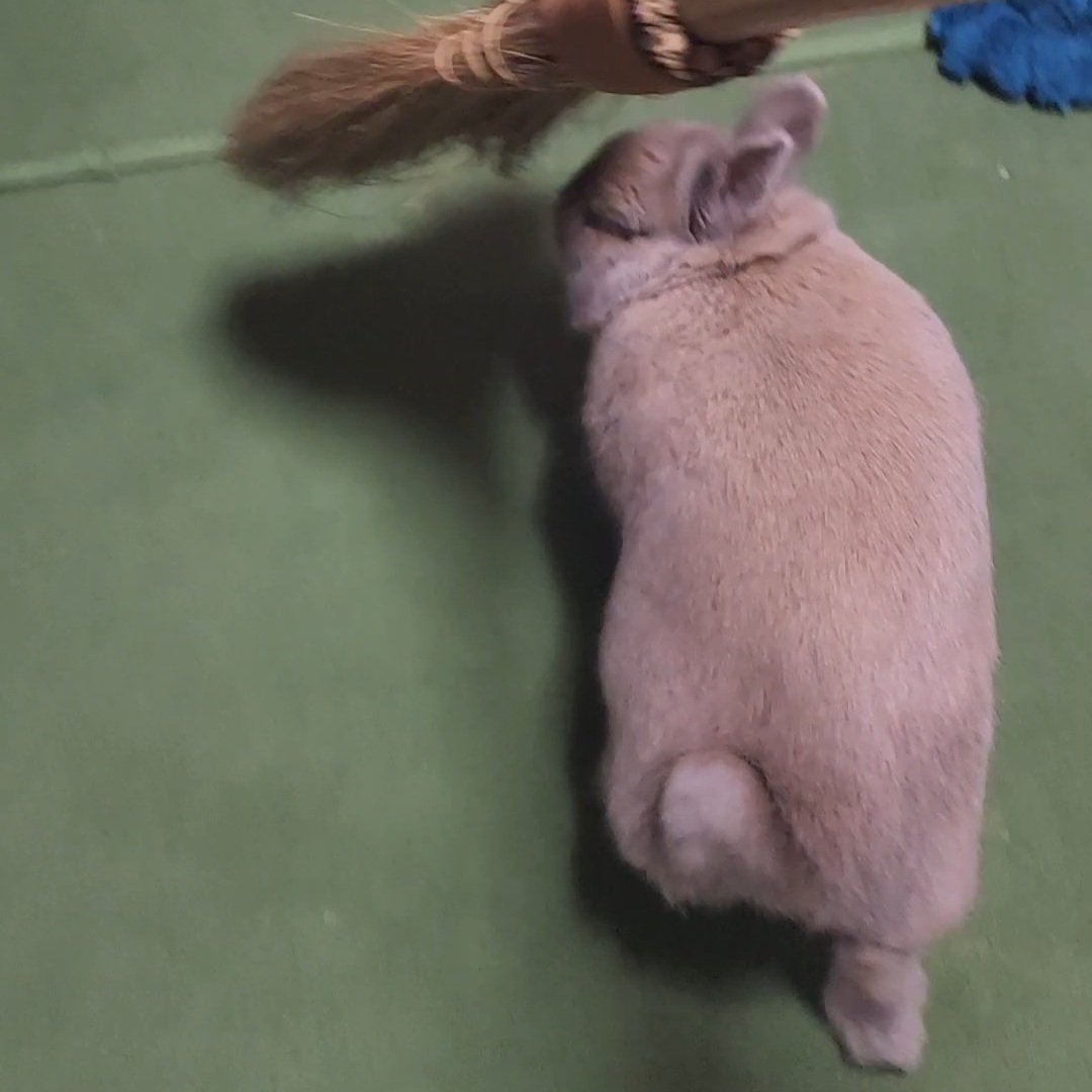 T7ふぉんNP tweet media