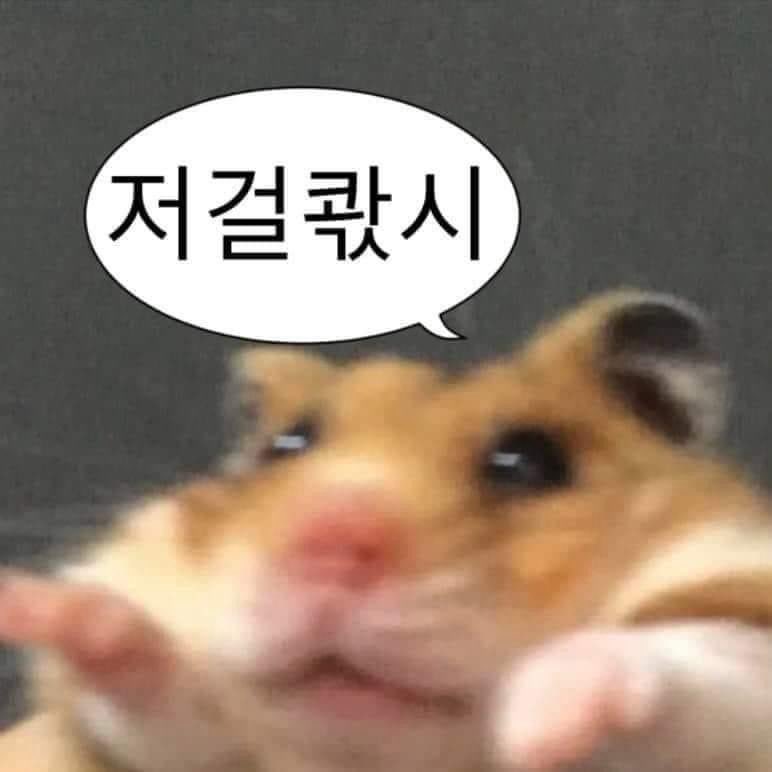 OTCloud514riel's tweet photo. #menew https://t.co/yiuj1wvIye