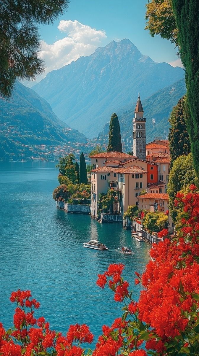 Daisy🌼🌼 tweet media