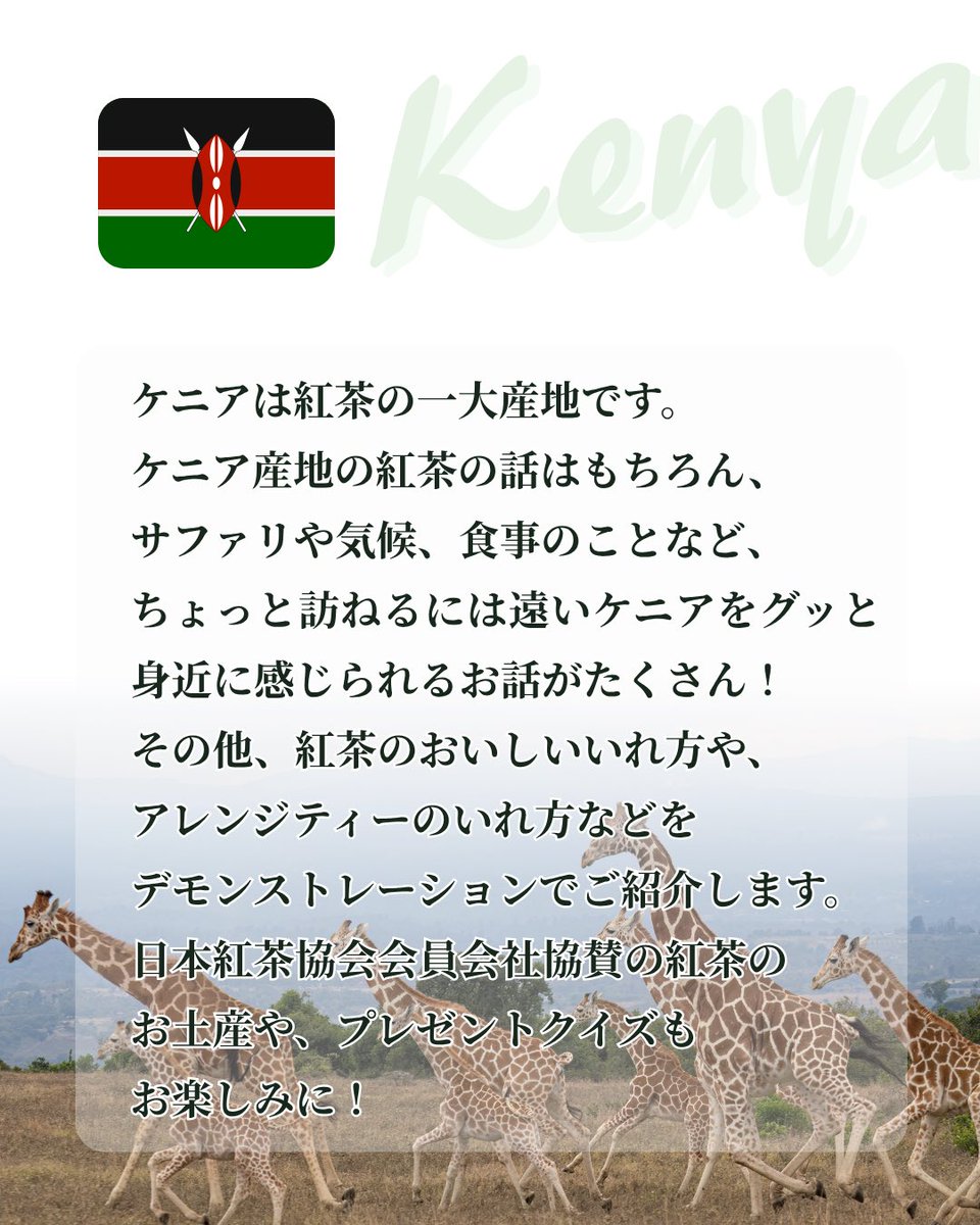 日本紅茶協会公式アカウント tweet media