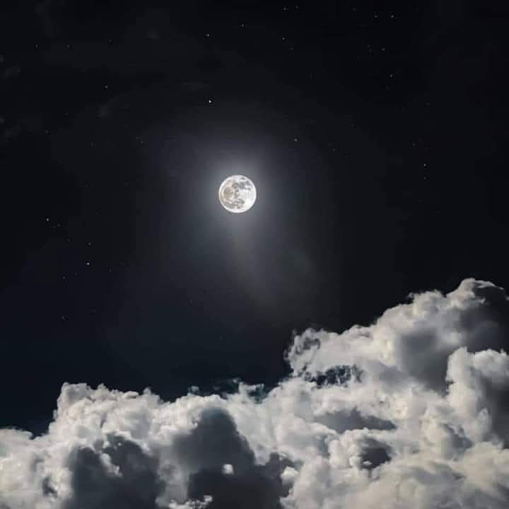 ₜᵤ ᵥₑcᵢₙₒ tweet media