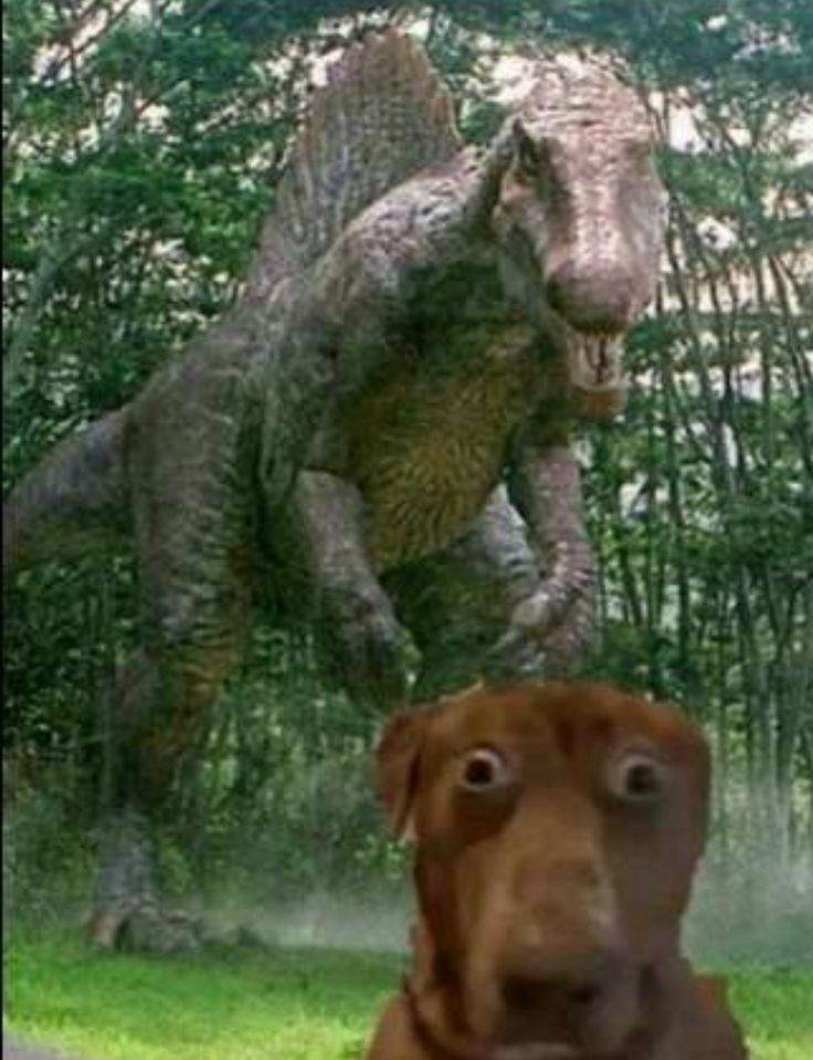 playing against plat, diamond, and emerald players and im gold II... mom im scared