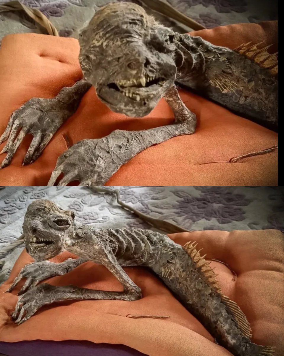 hybridscient51's tweet photo. The kappa found in Japan https://t.co/RG1RHdr26p
