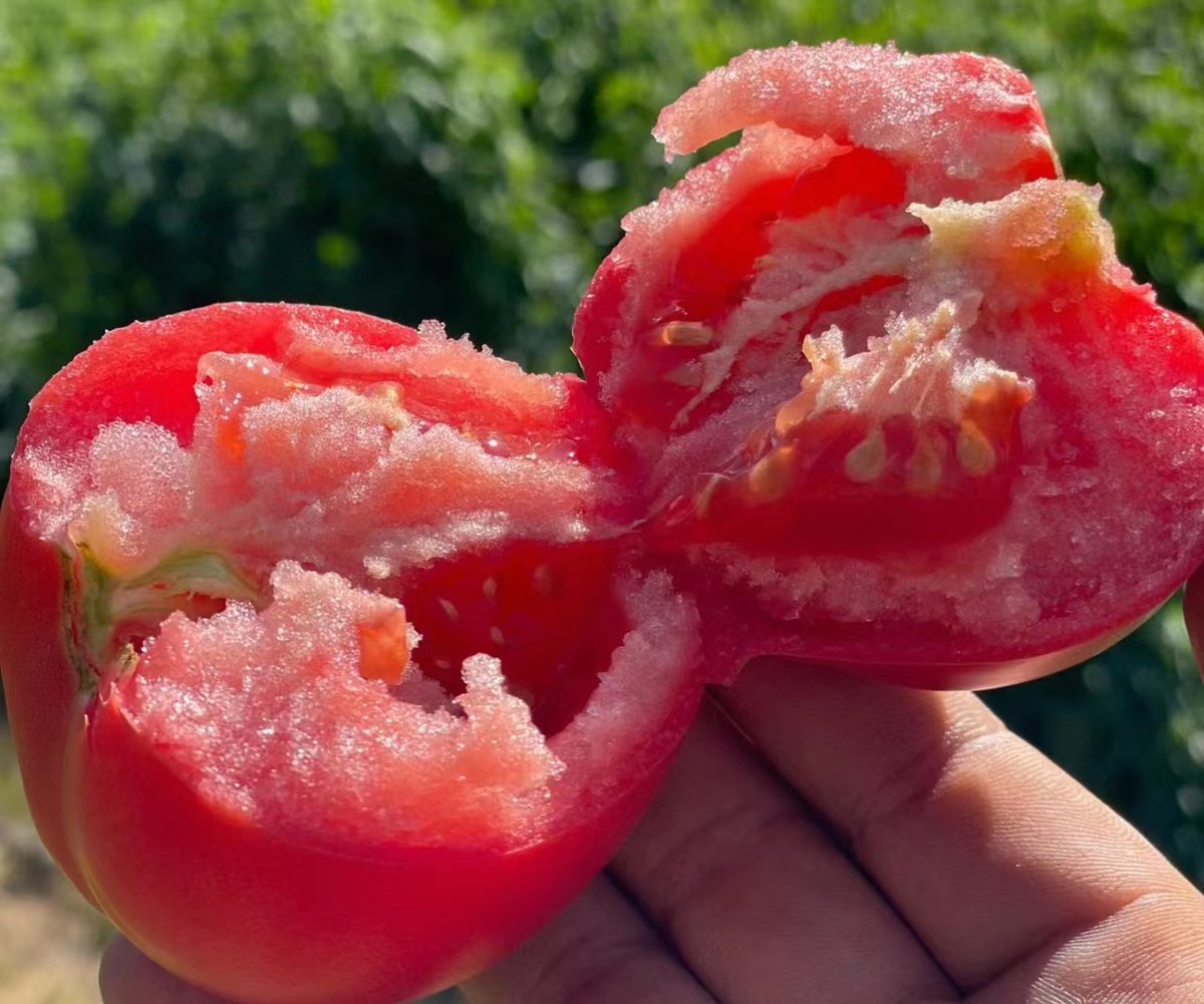 Steffen ™ tweet media