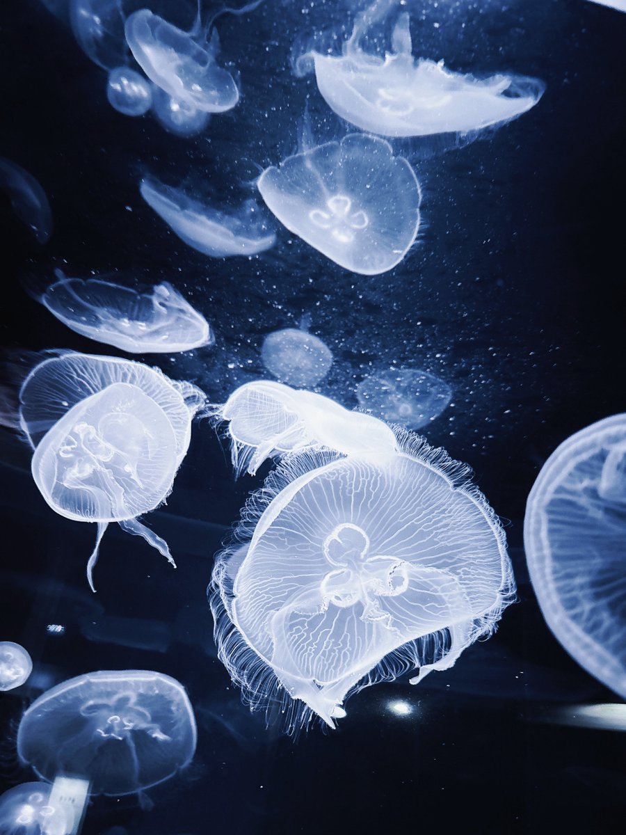 からんころん tweet media