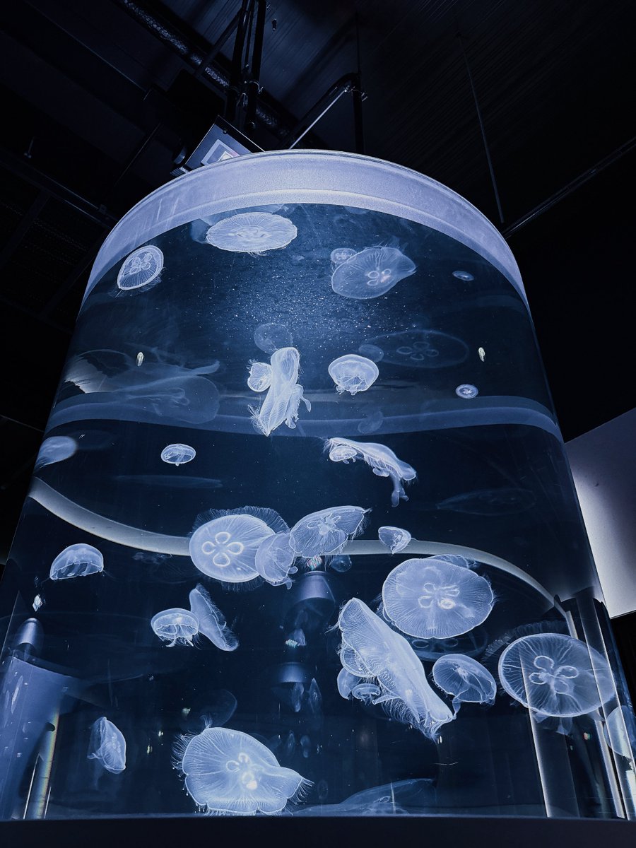 からんころん tweet media