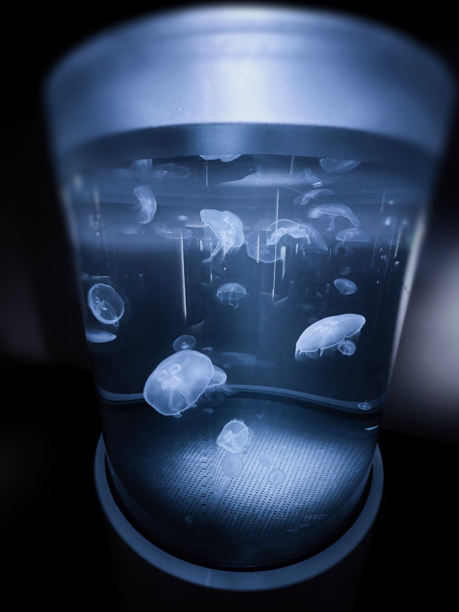 からんころん tweet media