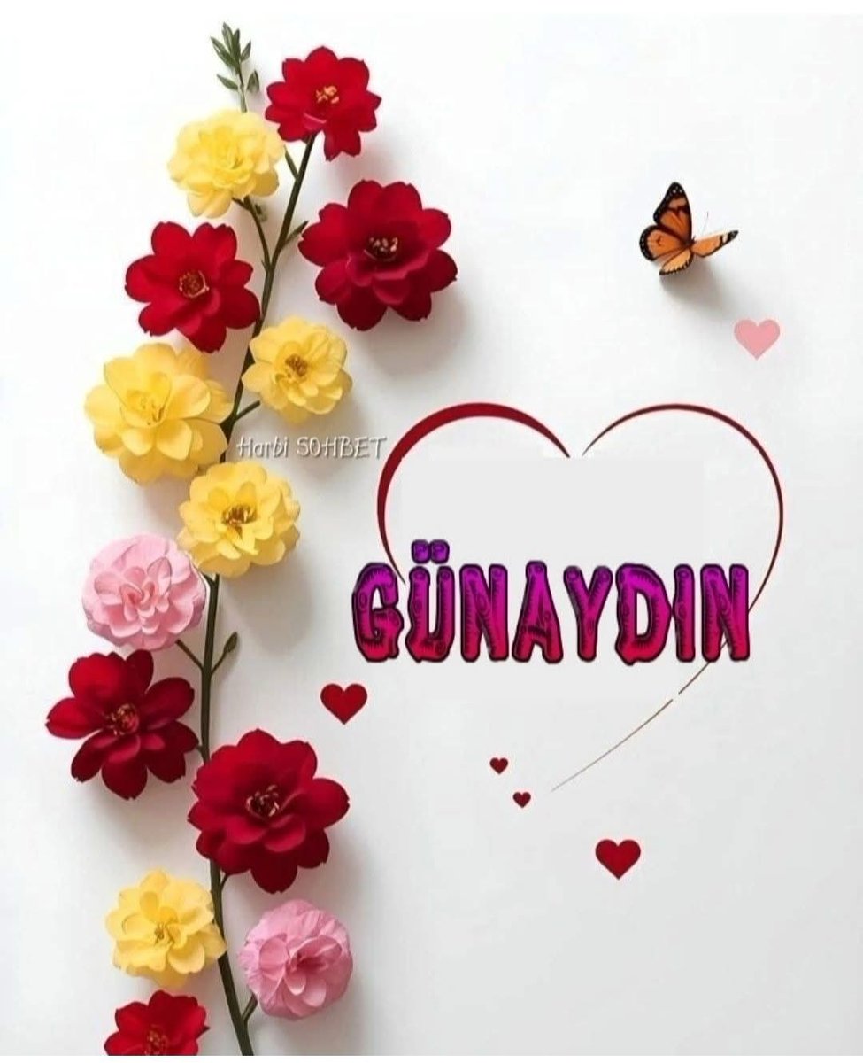 Battal Ergin tweet media