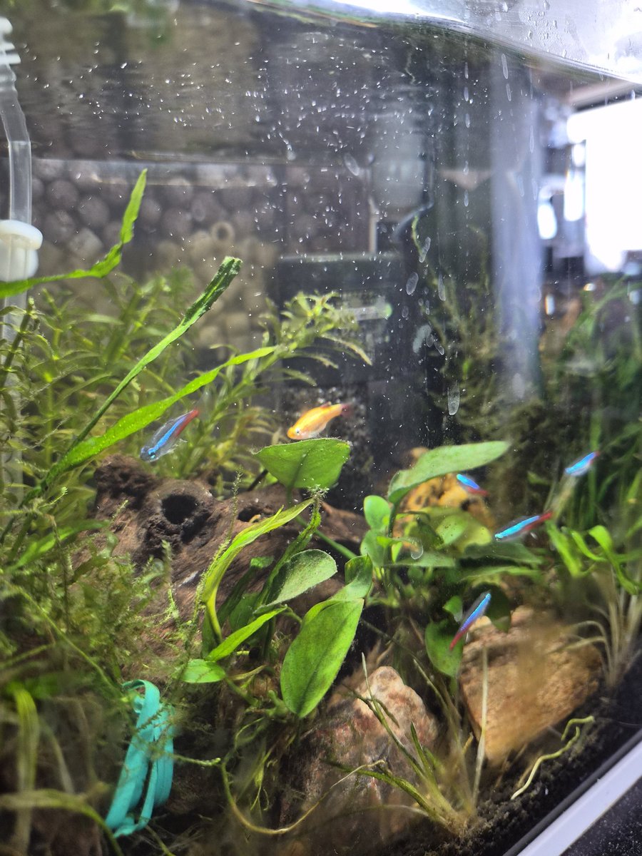 タニーさん@SPOON垢 tweet media