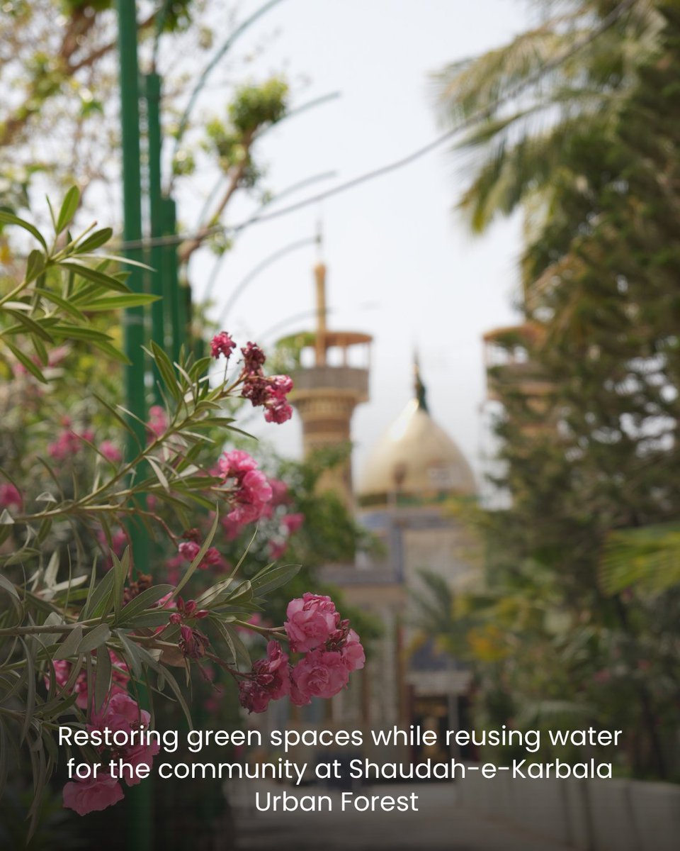 WWF-Pakistan tweet media