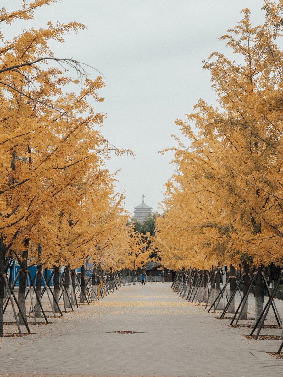 Neil Anderson tweet media