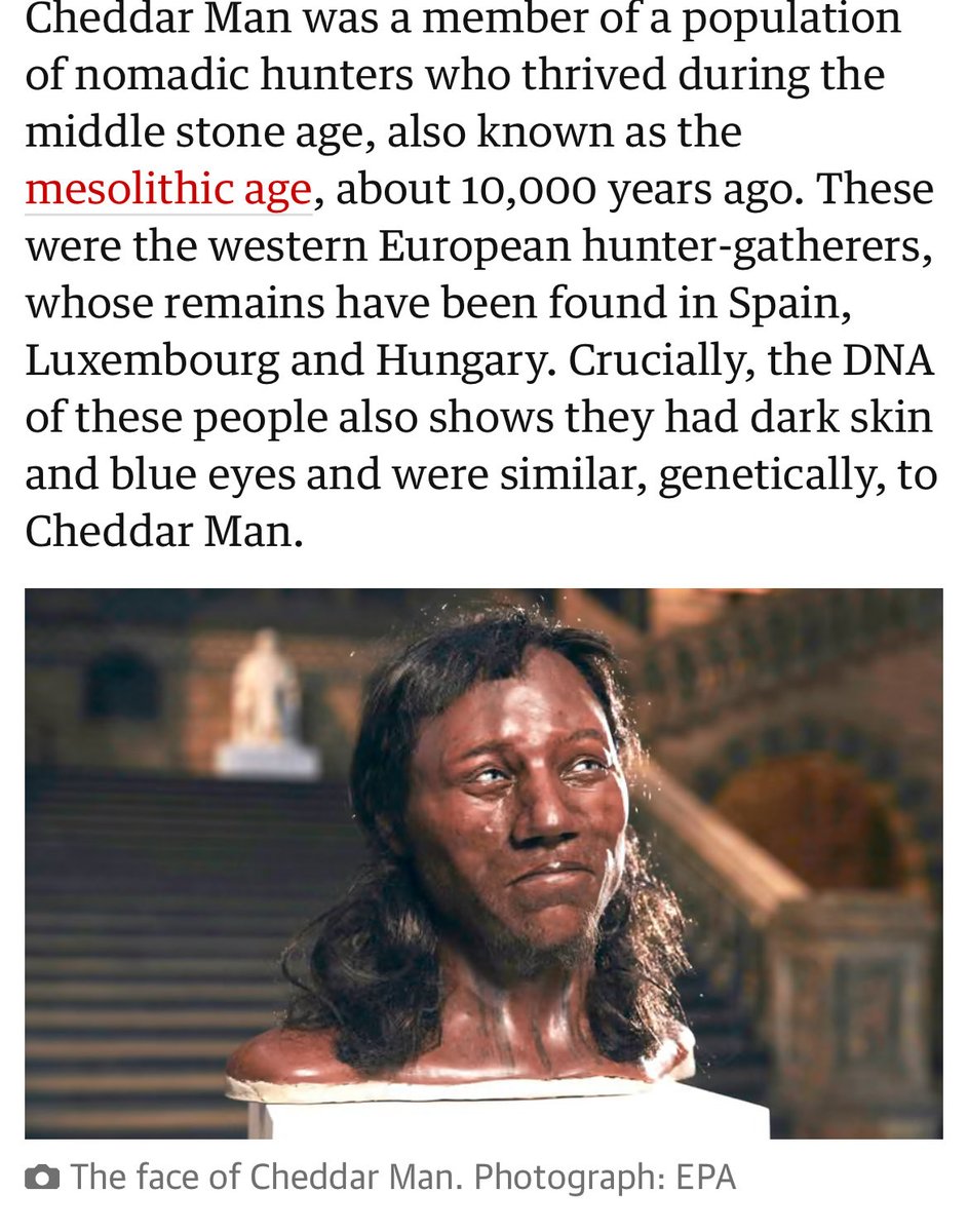 Simon Gosden. Esq. #fbpe 3.5% 🇪🇺🐟🇬🇧🏴‍☠️🦠💙 tweet media