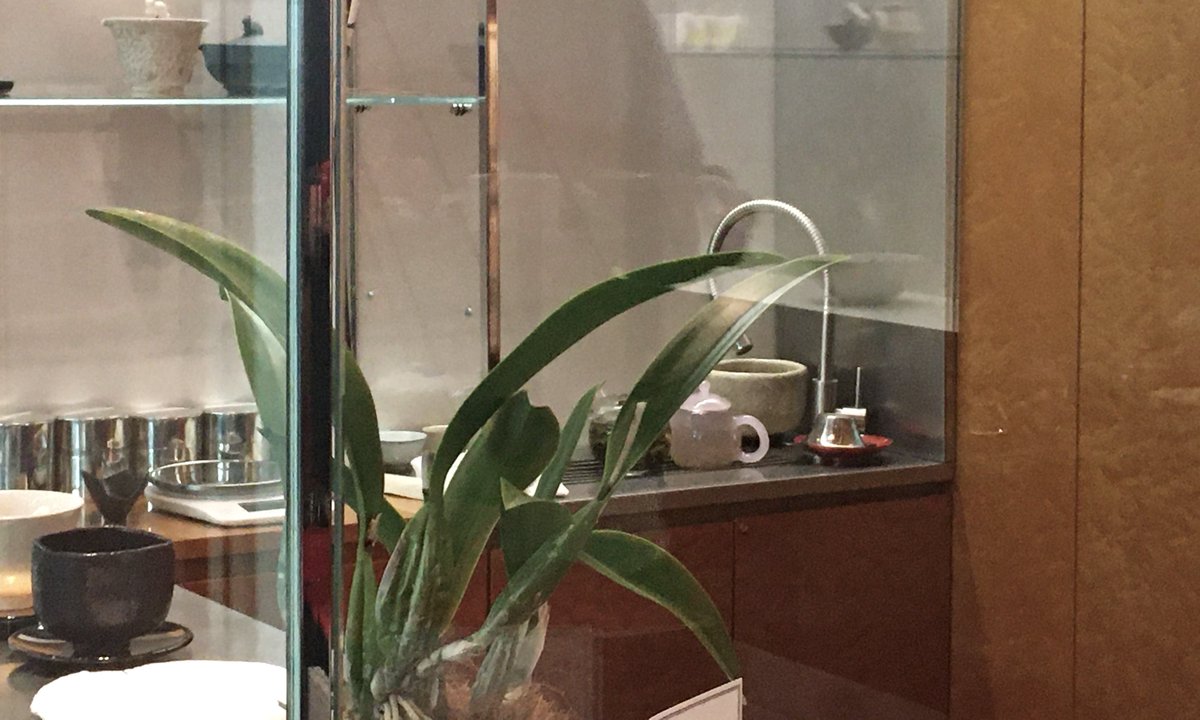 영원.. tweet media