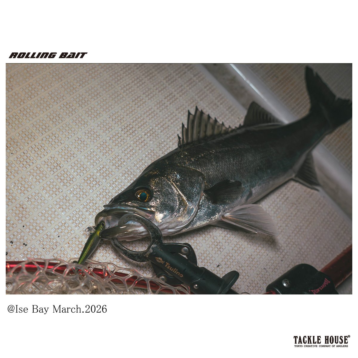 タックルハウス tweet media