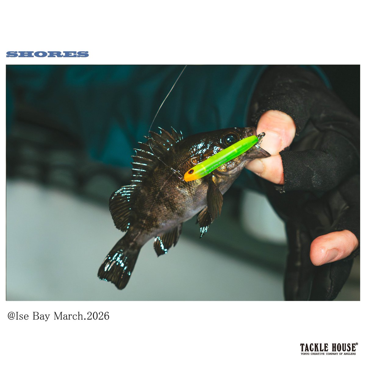 タックルハウス tweet media