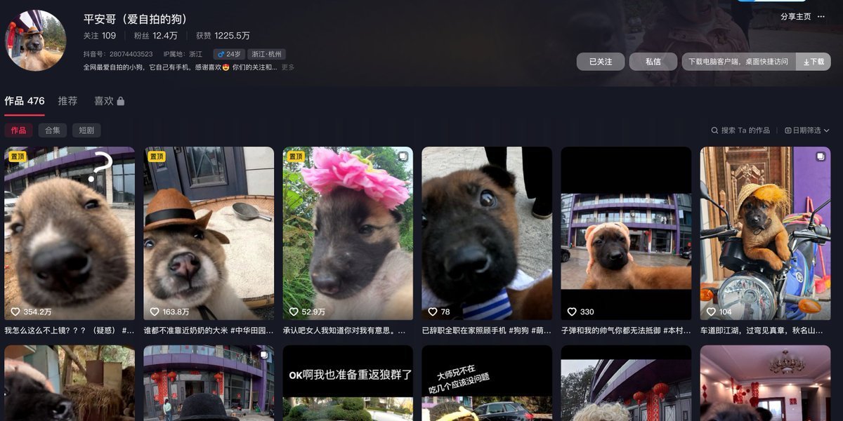 good boy tweet media