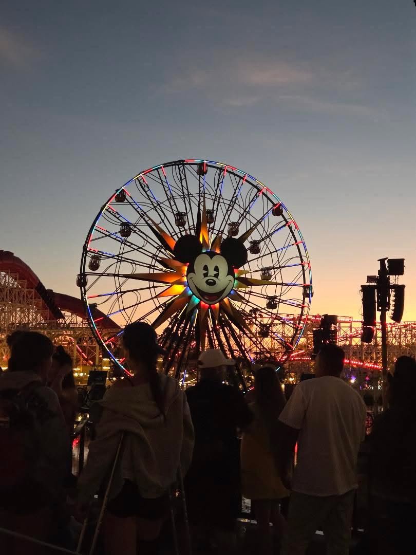 joli ⋆୨୧˚ Enhypen is 7️⃣ tweet media