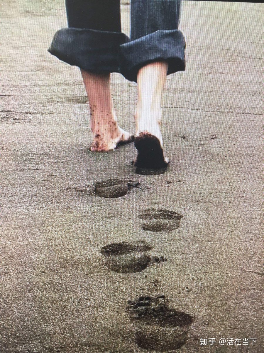 M. Saqib Khan tweet media