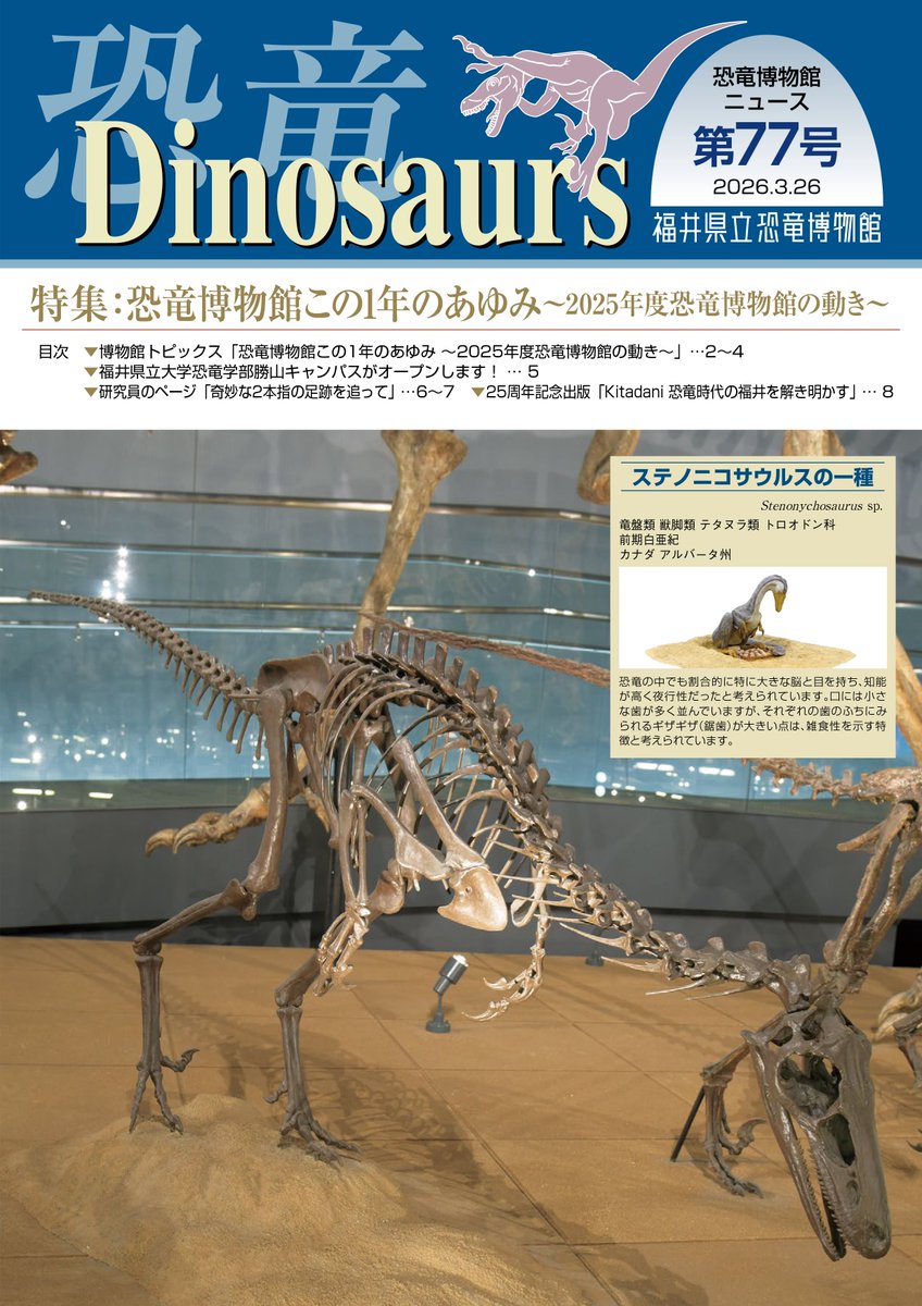 📢博物館ニュースDinosaurs 77号を発行しました。 内容はホームページ