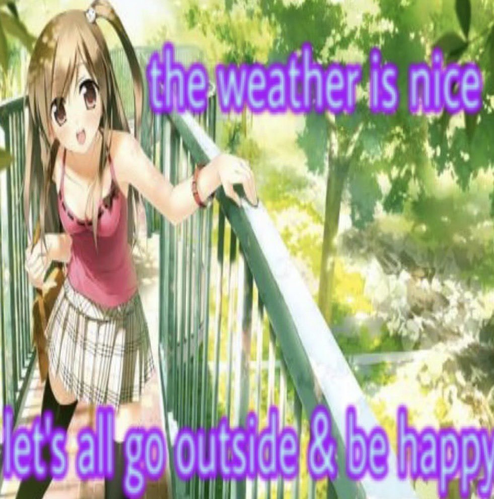 ₊ ✚ bugbug ✚ ₊ tweet media