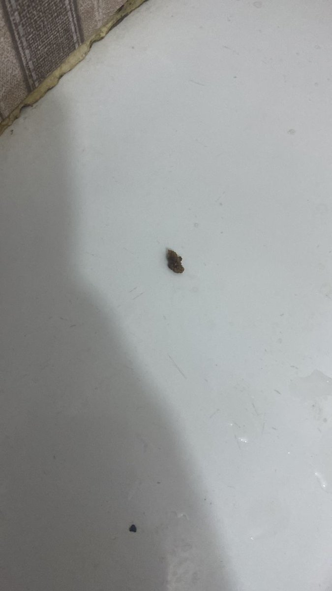 Thehameez tweet media