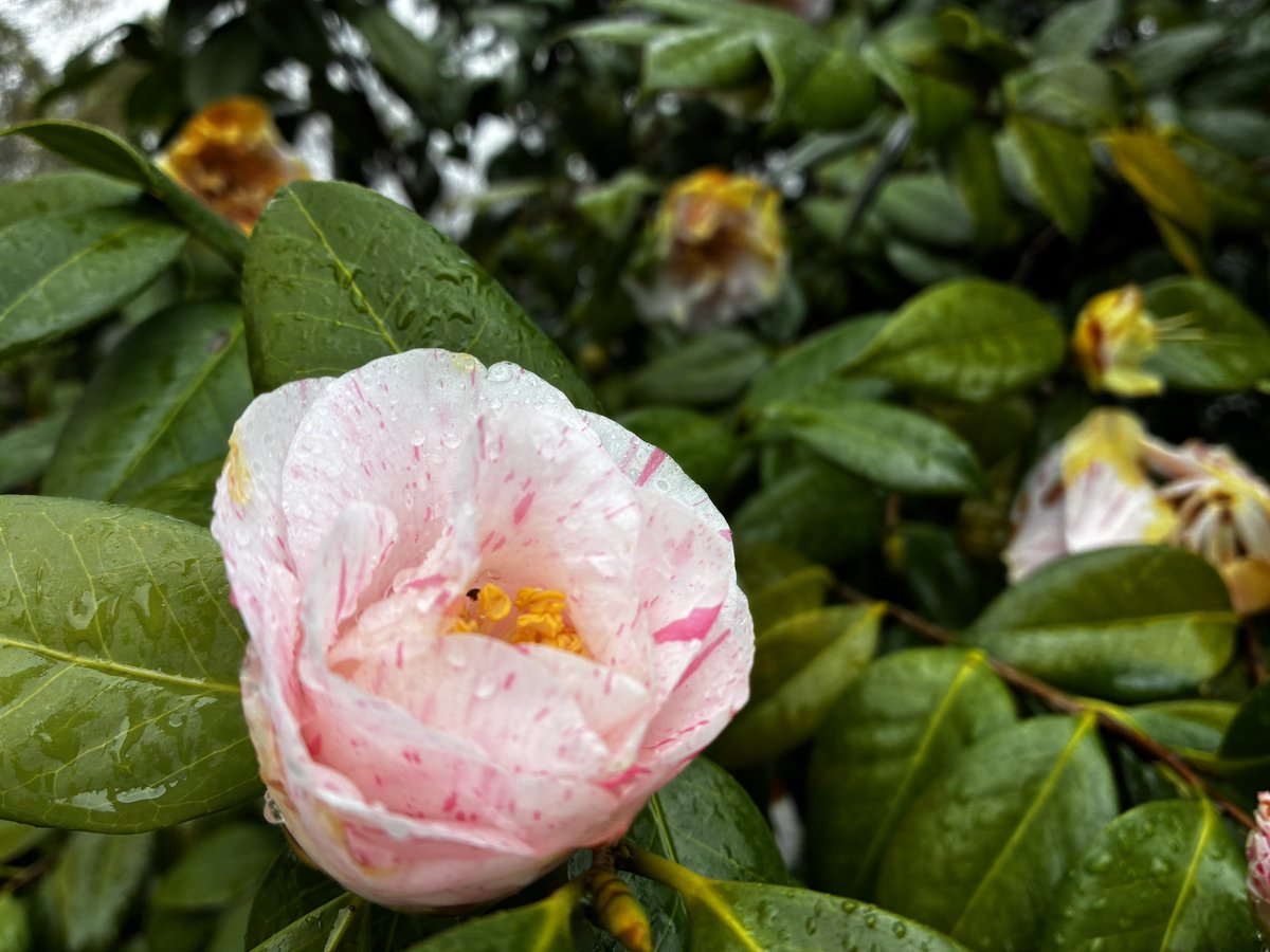 ㈱グリーンシステム【公式】武蔵野市のリフォーム会社 tweet media