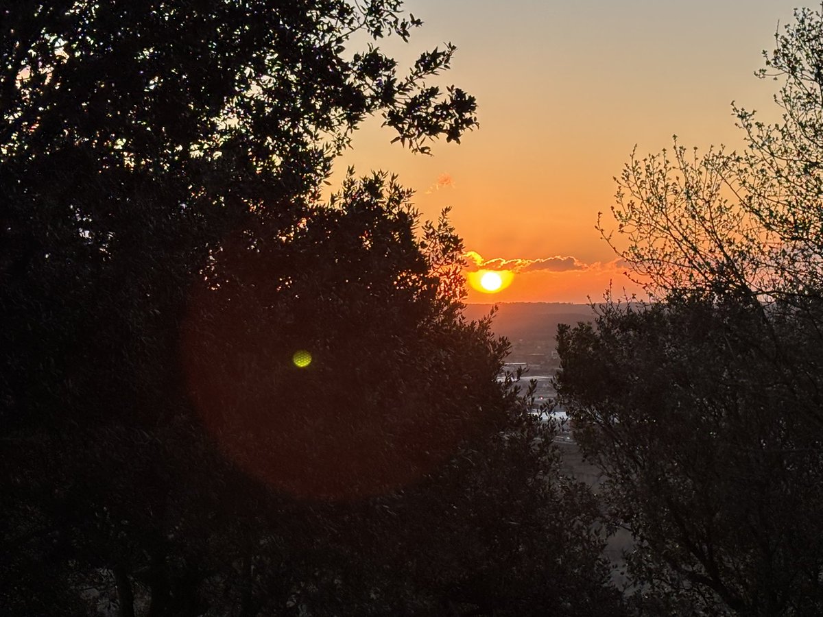 Antoni Gelonch tweet media