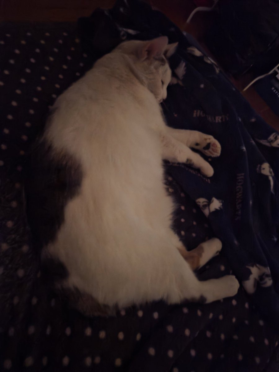 Hellomynameistrouble tweet media