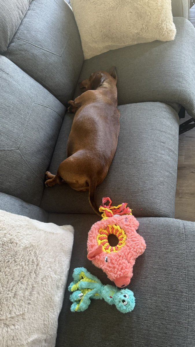 Kylie ♥️ 🥂👋🏻 tweet media