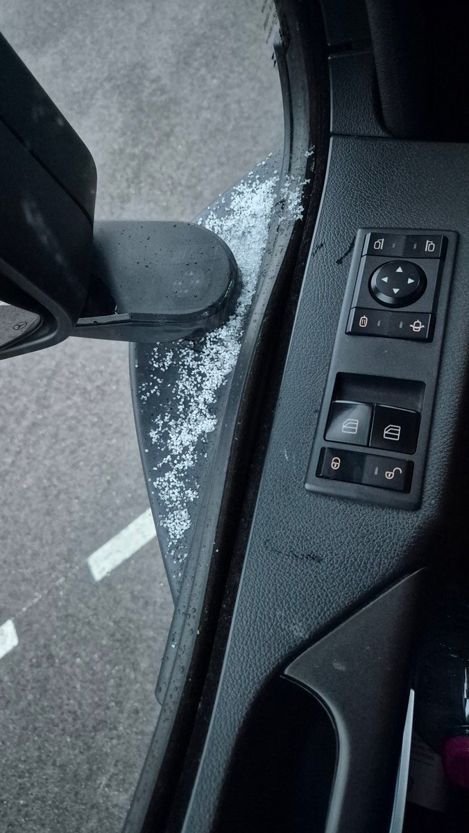 Tom d'Avignon tweet media