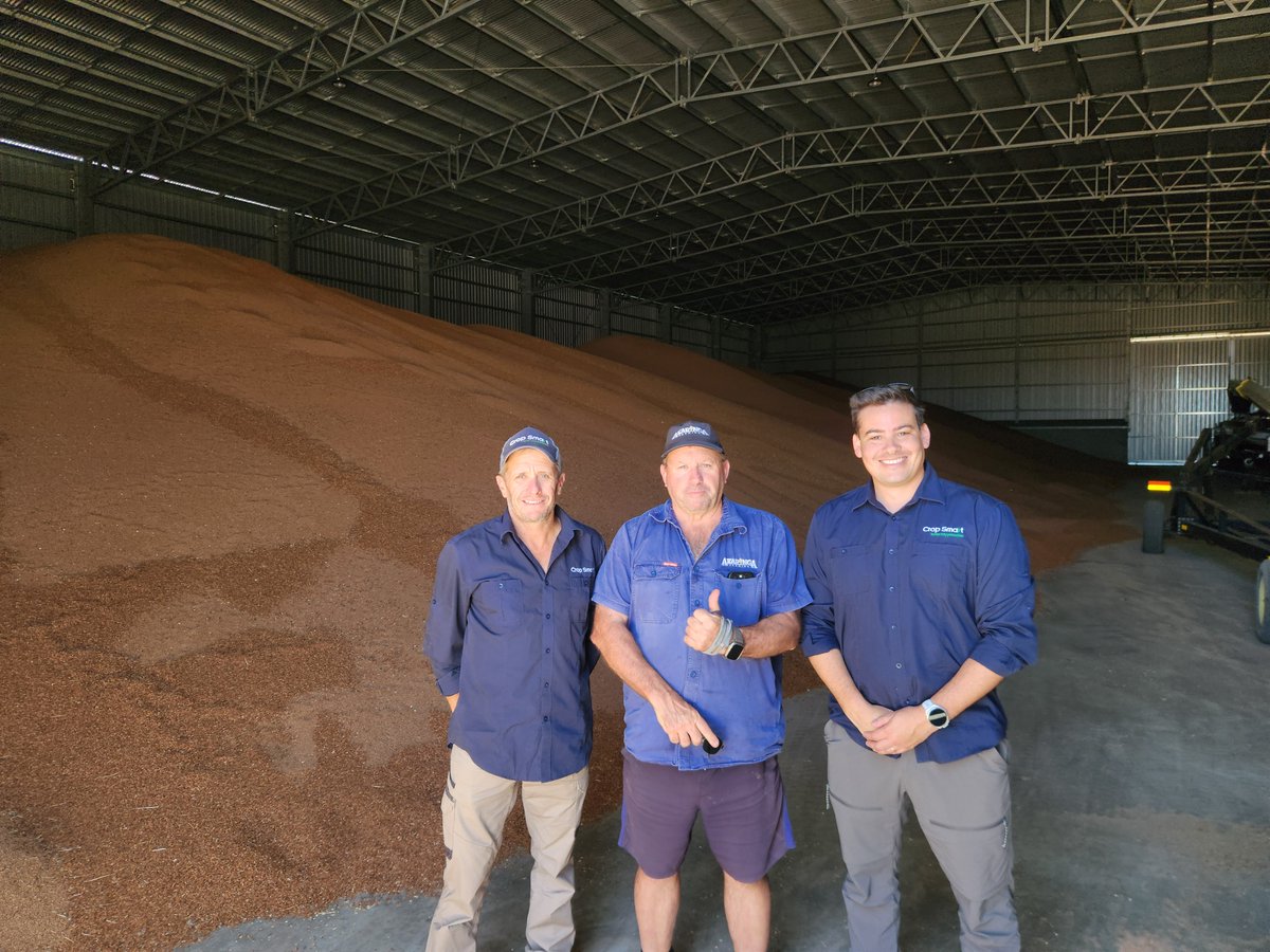 Crop Smart tweet media