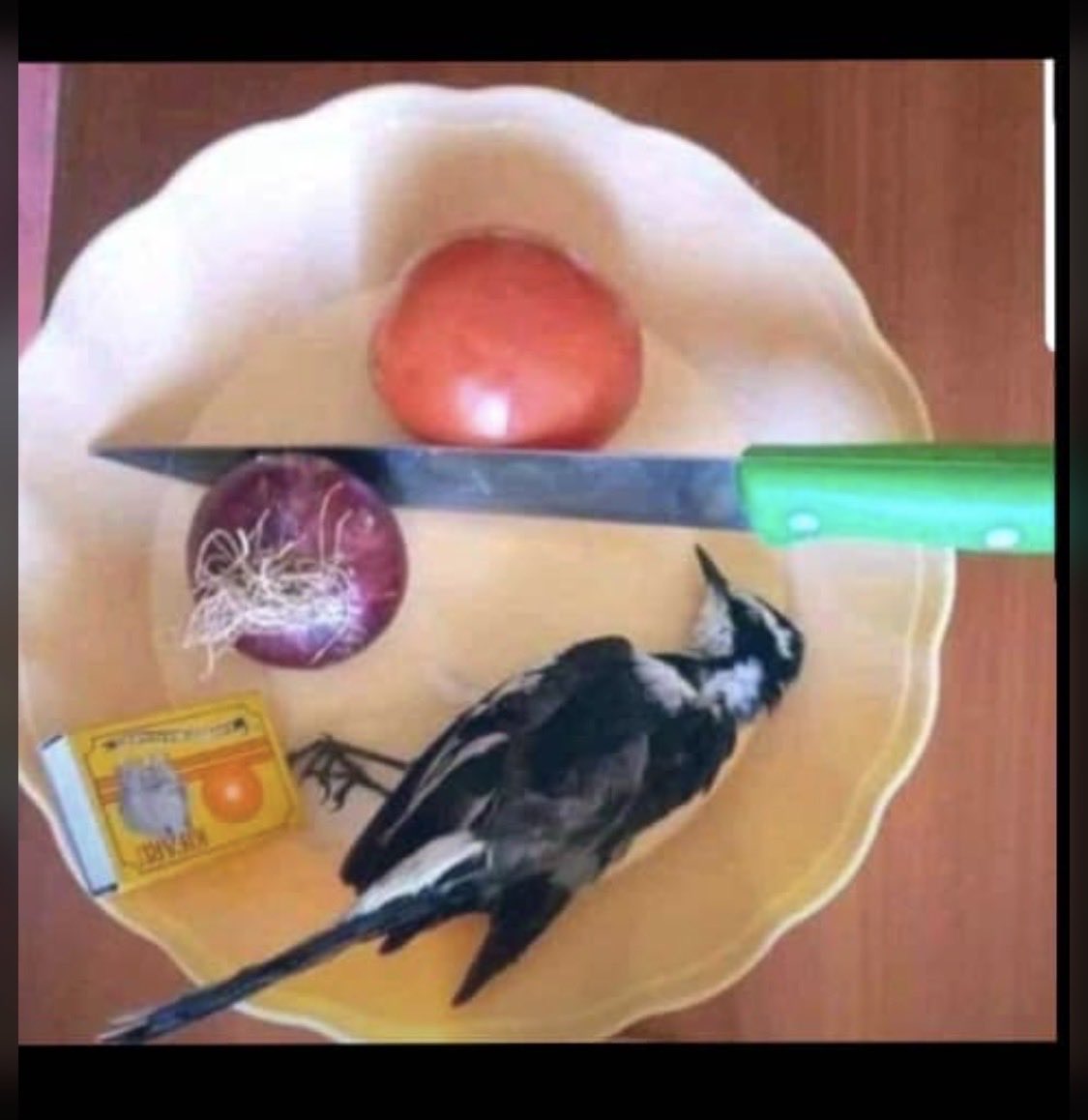 AMICABLE tweet media