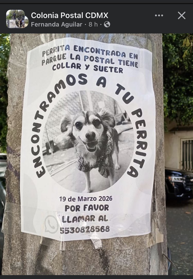 Col. Independencia ABJ tweet media