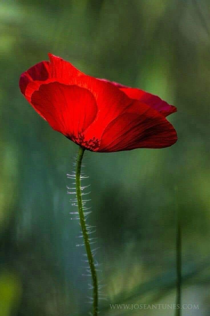 Ayden💙💛 tweet media