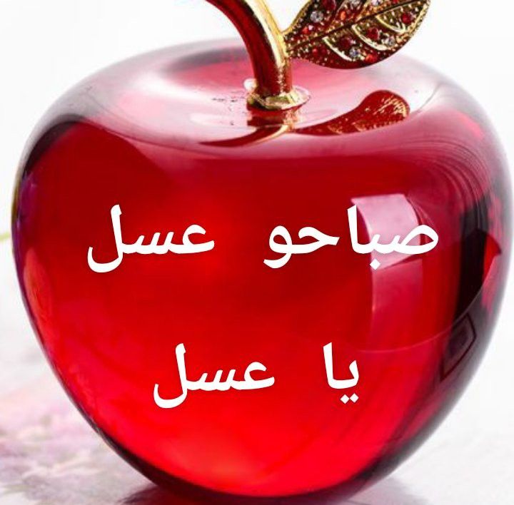 Nour 🕊️ tweet media